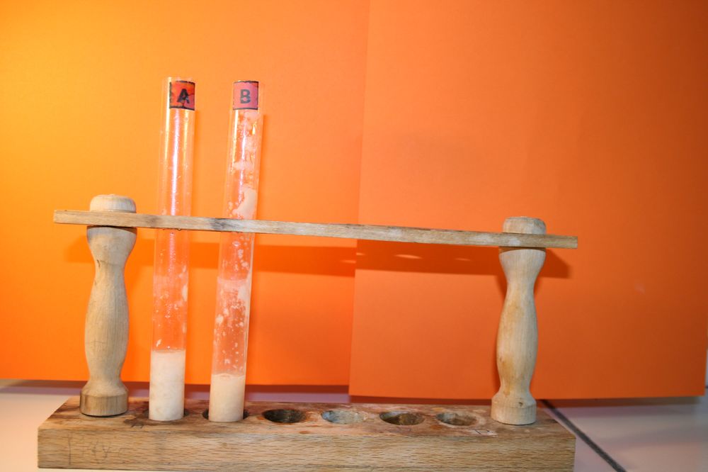 gal/LES_CINQUIEMES/ACTIVITE DIGESTION IN VITRO/Groupe_04/Groupe04_T_00h20min/Groupe04_T_00h_20min_8.JPG